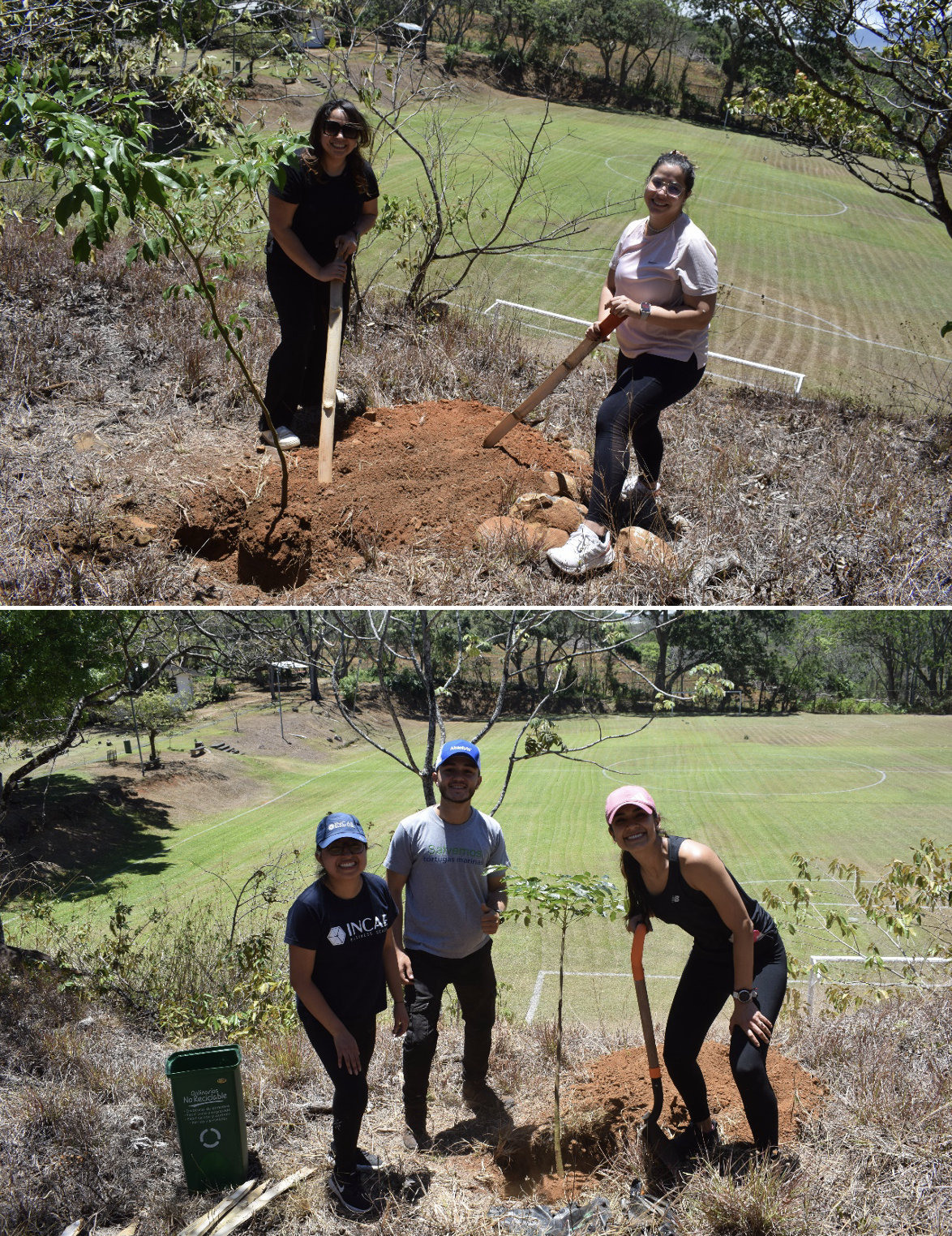 Sostenibilidad-incae